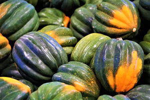 Seed - Acorn Squash 'Sweet Reba' - Semences du Portage