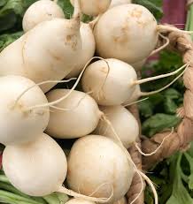 Seed - Turnip 'Hakurei F1' - West Coast Seeds