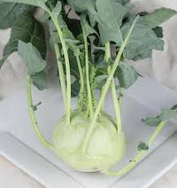 Seed - Kohlrabi 'Konan F1' - West Coast Seeds