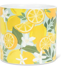 Grand cache-pot décoratif citronnier et fleurs – 6,5 po - 27-PL-TL-02-LG