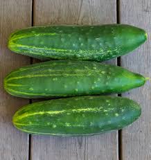 Semence - Concombres 'Early fortune' Biologique - West Coast Seeds