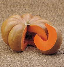 Seed - Pumpkin 'Musquée d'hiver de Provence' - West Coast Seeds