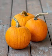 Seed - Pumpkin 'Small Sugar' - West Coast Seeds