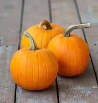 Seed - Pumpkin 'Small Sugar' - West Coast Seeds
