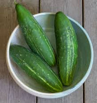 Semence - Concombres 'Early fortune' Biologique - West Coast Seeds