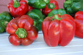 Seed - Peppers 'King of the North' Organic - West Coast Seeds