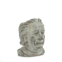 Cache-pot tête d’Einstein – 8 po H - 27-EINSTEIN-202-SM