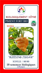 Seed - Organic Bleeding Jigsaw Hot Pepper - Biologiquement vôtre
