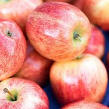 Malus Pink Lady - Pommier