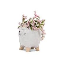 Cache-pot - Petite jardinière chat avec queue – 4 po L - 27-CRITTER-201
