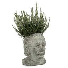 Cache-pot tête d’Einstein – 8 po H - 27-EINSTEIN-202-SM
