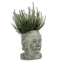 Cache-pot tête d’Einstein – 8 po H - 27-EINSTEIN-202-SM