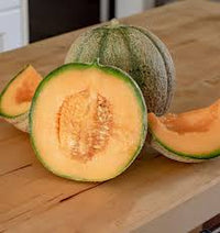 Seed - Melon 'Halona F1' - West Coast Seeds