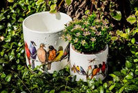 Cache-pot Oiseaux sur un fil – 4,5 po de diamètre - 27-PARADE-085-SM