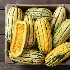 Seed - Squash 'Delicata' - West Coast Seeds