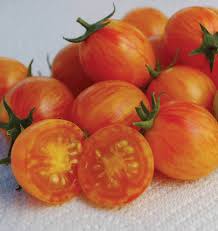 Seed - Tomato 'Sunrise Bumble Bee' Organic - West Coast Seeds
