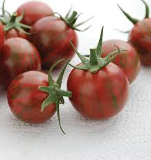 Semence - Tomate 'Purple Bumble Bee' Biologique - West Coast Seeds