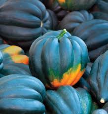 Seed - Squash 'Table Queen' - West Coast Seeds
