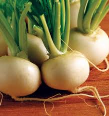 Seed - Turnip 'Hakurei F1' - West Coast Seeds
