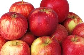 Malus Haralson - Pommier Harlason