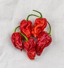 Seed - Peppers 'Trinidad Moruga Scorpion' - West Coast Seeds