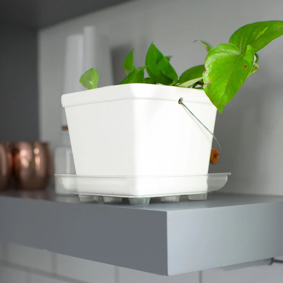 Soucoupe pour plante, protège-tapis carré épais 35,5 cm (14 po) - Transparent