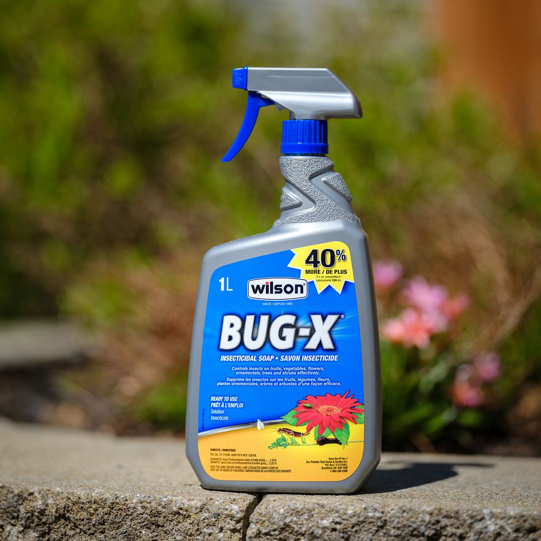 WILSON Insecticide Bug-X prêt à l'emploi 1L