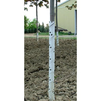 Tubes de protection en spirale pour arbre