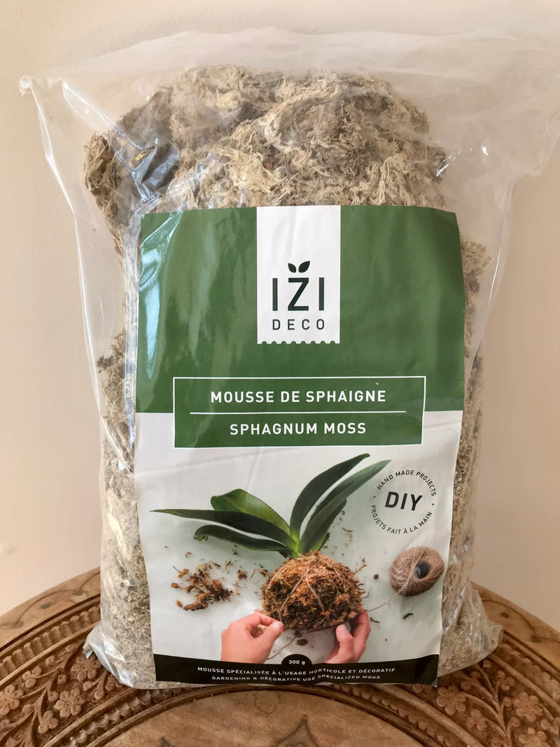 Mousse de sphaigne/fibres longs - Izi deco