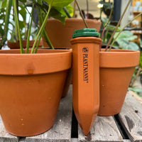 Réserve d'eau en terracota - Bouteille d'eau en plastique Clay 5,75"H - Plant Nanny