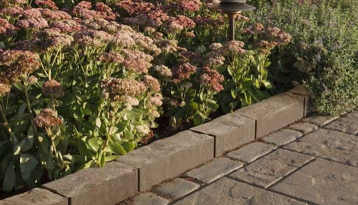 Techo bloc- Bordure Brandon