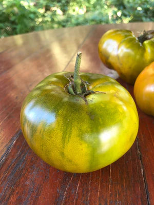 Seed - Tomato 'Verte de Huy' - Portage Seeds