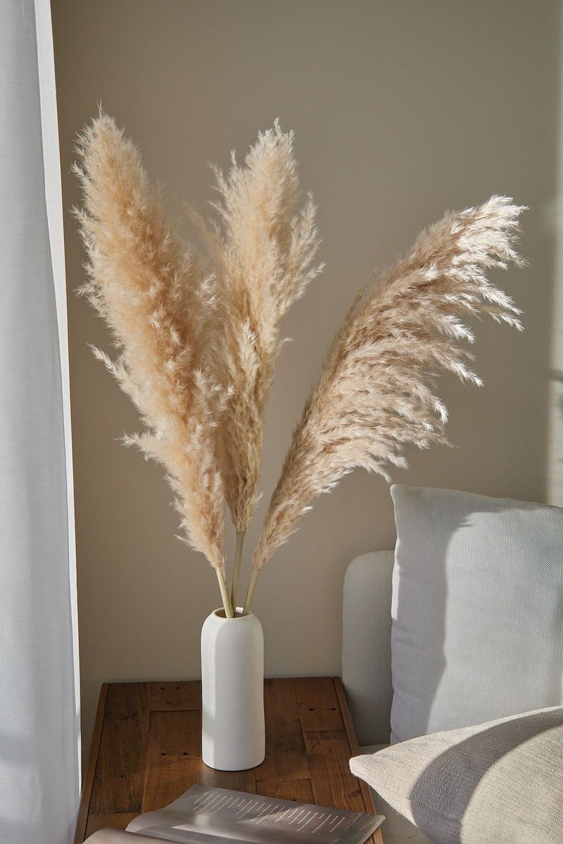 704-341 PAMPAS SÉCHÉ, NATUREL, 35½"