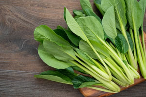 Seed - Mustard Spinach Komatsuna - Semences du portage