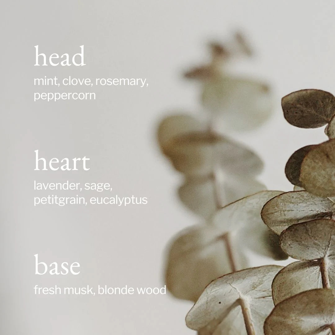 Diffuseur portable | Eucalyptus, menthe et romarin - SOJA&CO