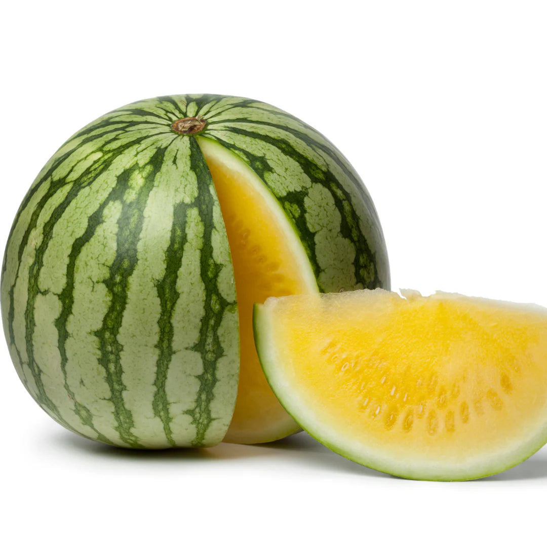 Potted Yellow Baby Watermelon