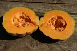 Seed - Oka Embroidered Melon - Heritage Seeds