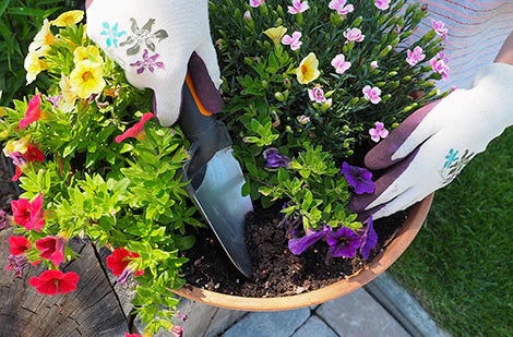 Service de transplantation/ plantation d'annuelles - le prix inclut la terre