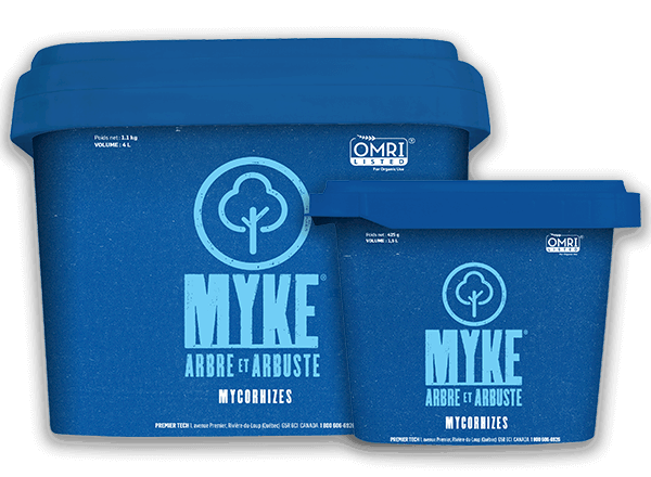 Mycorhizes MYKE Arbres et arbustes