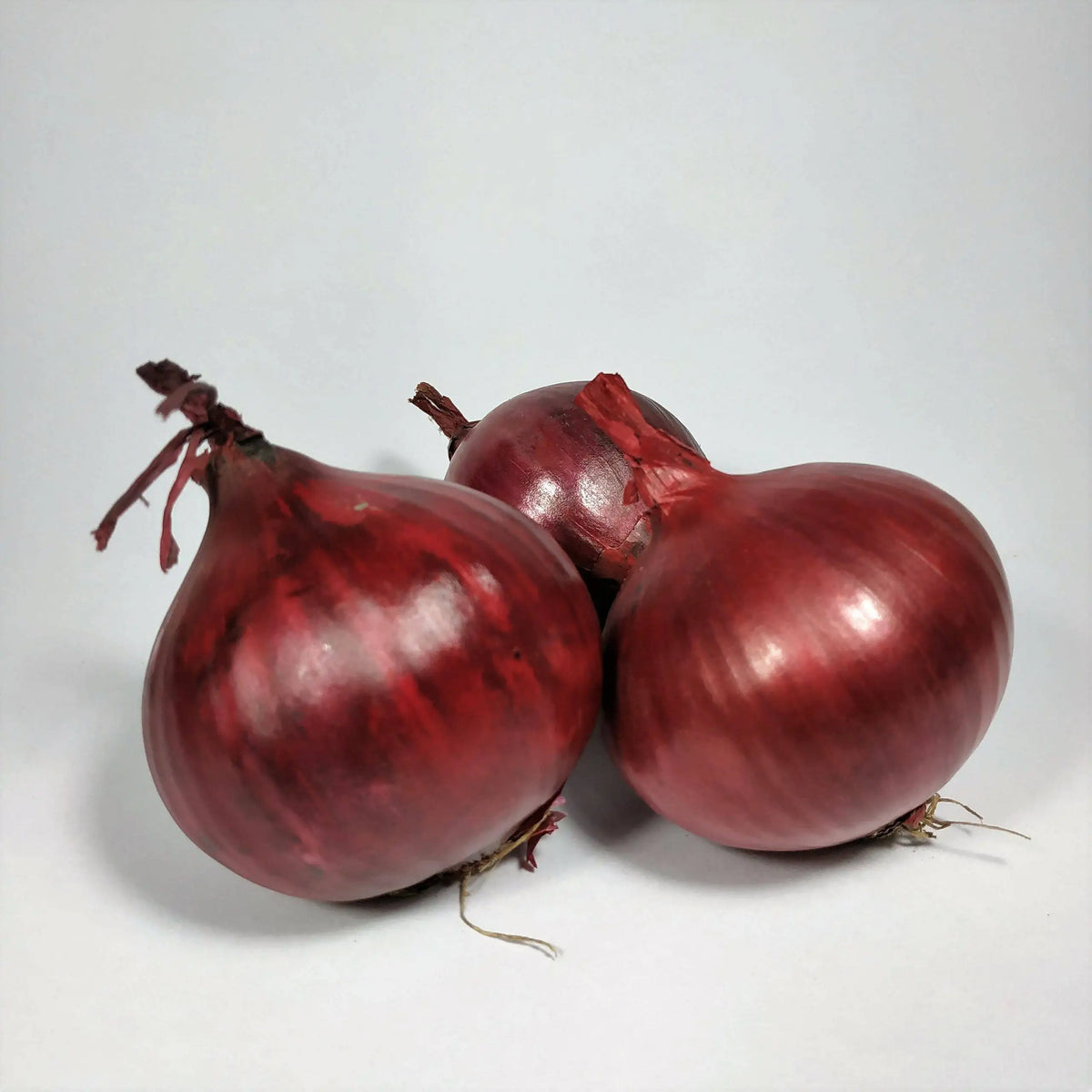 Oignons rouge en vrac- onion