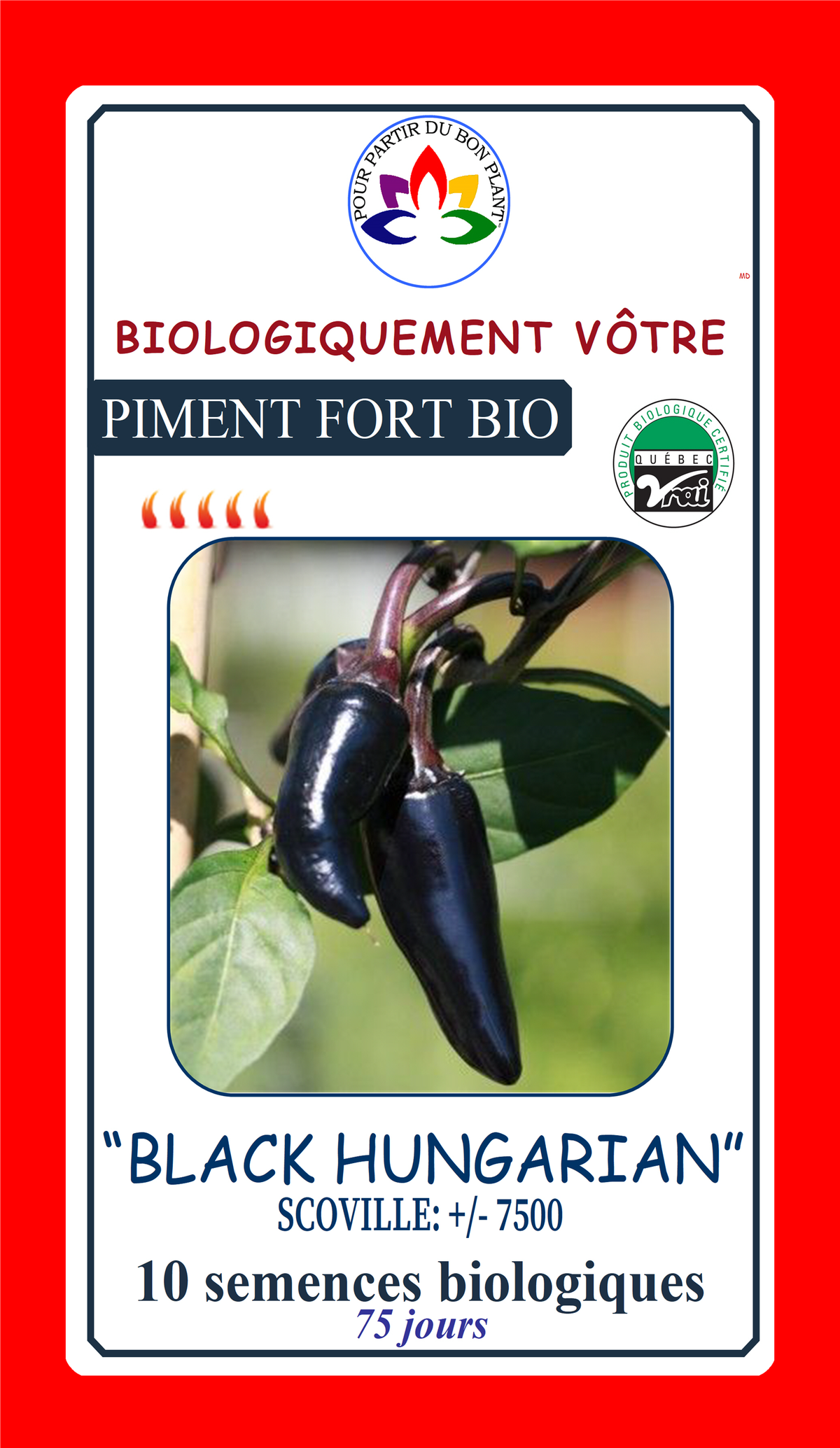 Sachet de semences - Piment black hungarian BIO - Biologiquement Vôtre