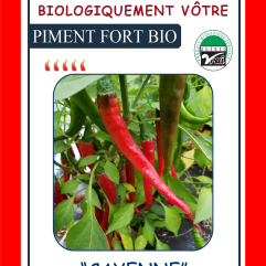 Sachet de semences - Piment Fort Cayenne rouge BIO - Biologiquement Vôtre