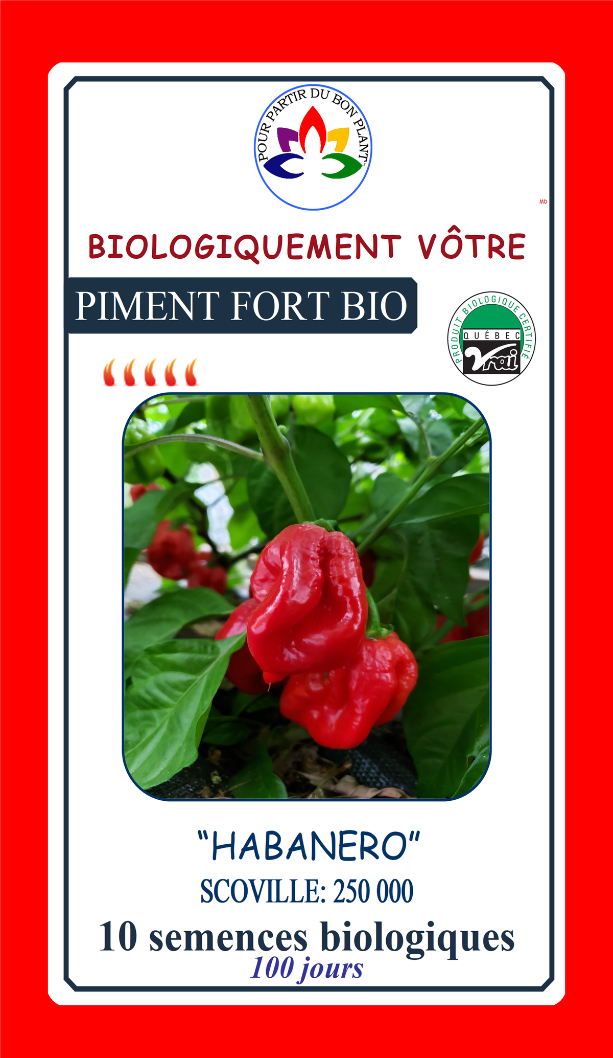 Sachet de semences - Piment fort Habanero rouge BIO - Biologiquement Vôtre