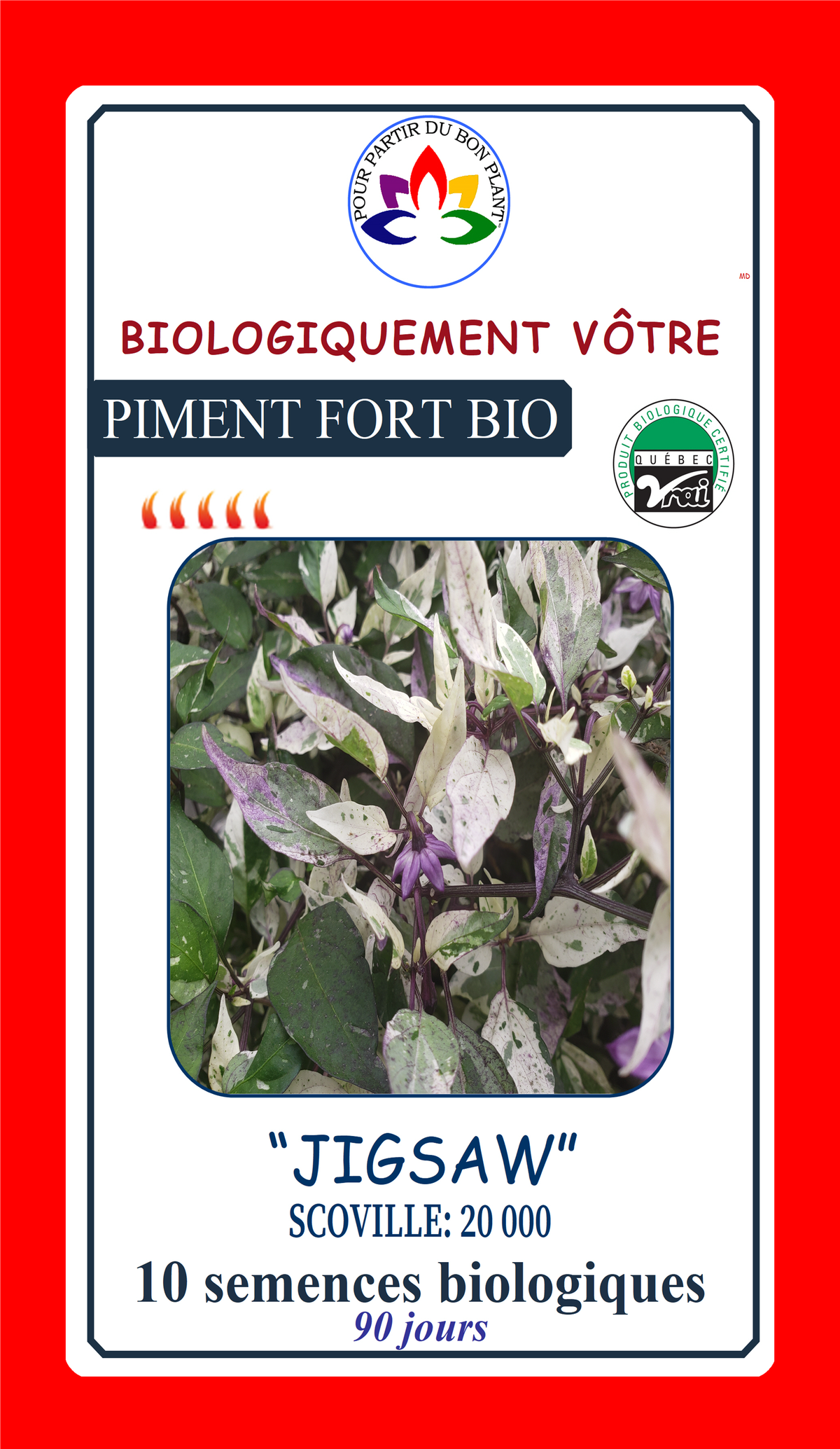 Sachet de semences - Piment fort Jigsaw BIO - Biologiquement Vôtre ...