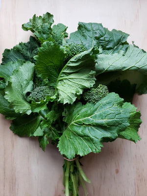 Seed - Rapini - Portage Seeds