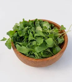 Seed - Arugula Microgreens - West Coast Seeds