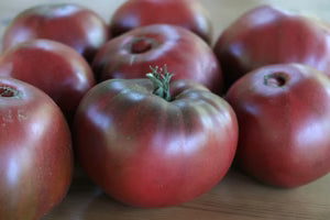 Seed - Tomato 'Carbone' - Portage Seeds